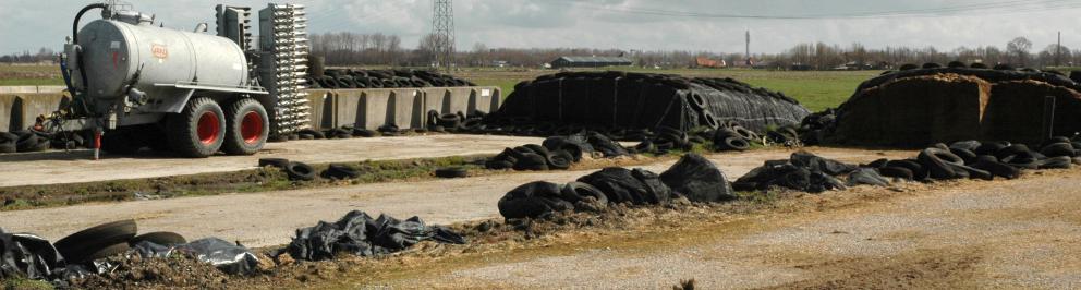 Opgeslagen kuilvoer op boerenerf