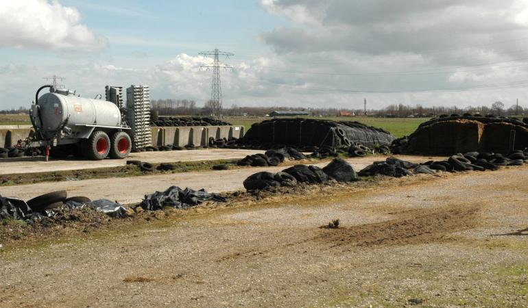 Opgeslagen kuilvoer op boerenerf