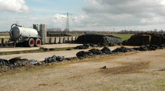 Opgeslagen kuilvoer op boerenerf